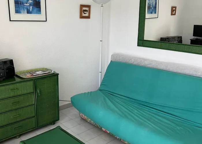 Archipel Iii Joli 2 Pieces Avec Clim Reversible Proche Richelieu Piscine Cap D'agde Appartement